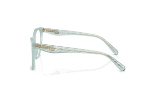 Vue latérale Coach HC6256U (5865)