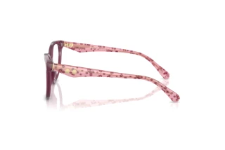 Vue latérale Coach HC6259U (5954SB)