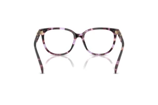 Vue arrière Coach HC6260U (5612)