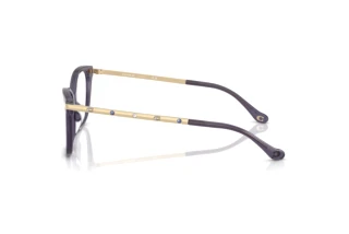 Vue latérale Coach HC6261BU (5522)