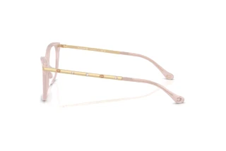 Vue latérale Coach HC6261BU (5869)