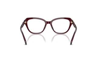 Vue arrière Coach HC6273U (5915)