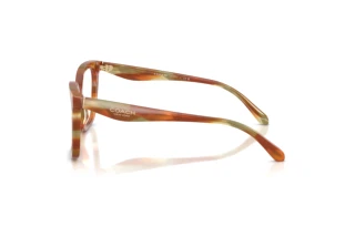 Vue latérale Coach HC6274U (5898)