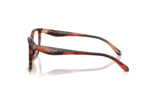 Vue latérale Coach HC6276U (5906)