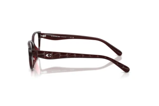 Vue latérale Coach HC6279D (5915)