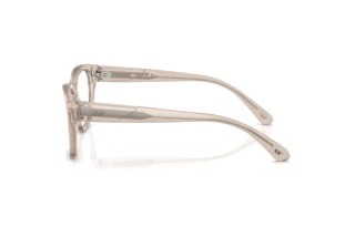 Vue latérale Diesel DL4001 (2007)