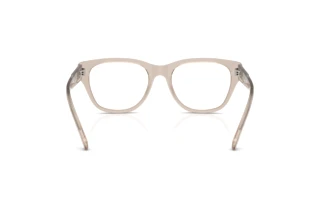 Vue arrière Diesel DL4001 (2007)