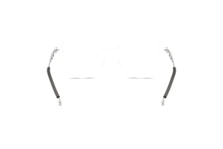 Vue arrière Diesel DL4007 (2005)