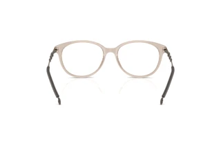 Vue arrière Diesel DL4007 (2007)