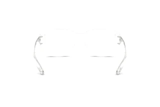 Vue arrière Diesel DL4009 (2005)