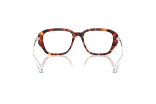 Vue arrière Diesel DL4009 (2023)