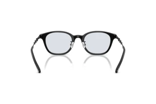 Vue arrière Diesel DL4013D (2062)