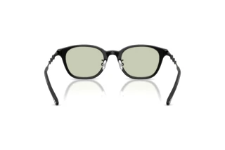 Vue arrière Diesel DL4013D (2063)