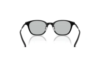 Vue arrière Diesel DL4013D (2064)