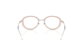 Vue arrière Diesel DL5010 (1042)