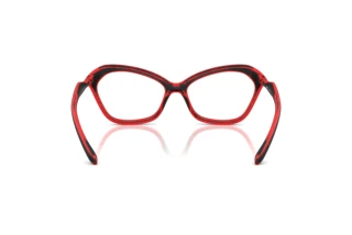 Vue arrière Diesel DL6003U (2009)