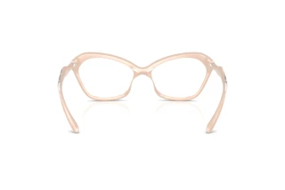 Vue arrière Diesel DL6003U (2034)