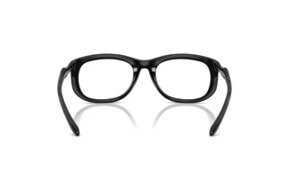 Vue arrière Diesel DL6006U (2001)