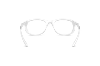 Vue arrière Diesel DL6006U (2029)