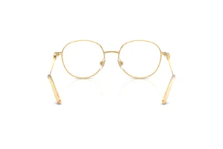 Vue arrière Dolce & Gabbana DG1365 (02)