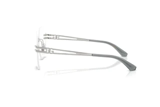 Vue latérale Dolce & Gabbana DG1369 (05)