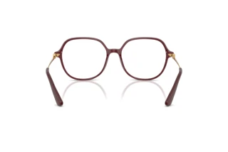 Vue arrière Dolce & Gabbana DG3364 (3442)