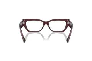 Vue arrière Dolce & Gabbana DG3387 (3045)