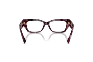 Vue arrière Dolce & Gabbana DG3387 (3464)