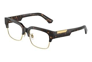 Dolce & Gabbana DG3388 502