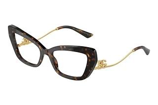 Dolce & Gabbana DG3391B 502 Havana