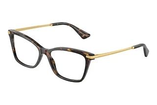 Dolce & Gabbana DG3393 502 Havana