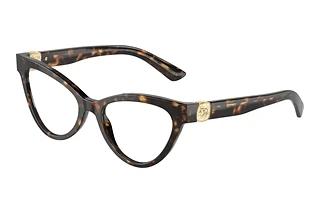 Dolce & Gabbana DG3394 502 Havana