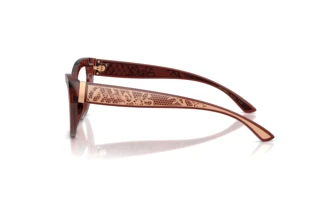 Vue latérale Dolce & Gabbana DG3412 (3045)