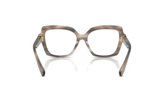 Vue arrière Dolce & Gabbana DG3413 (3449)