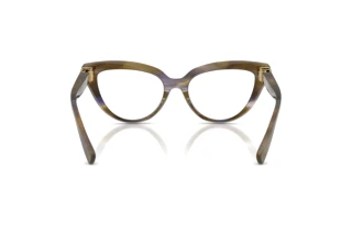 Vue arrière Dolce & Gabbana DG3414 (3447)