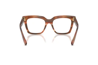 Vue arrière Dolce & Gabbana DG3417 (3221)