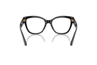 Vue arrière Dolce & Gabbana DG3418 (501)