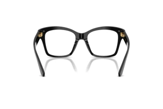 Vue arrière Dolce & Gabbana DG3419 (501)