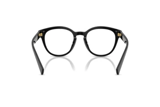 Vue arrière Dolce & Gabbana DG3421 (501)