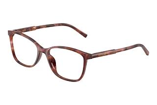 Dolce & Gabbana DG3424 3444 Havana Brown