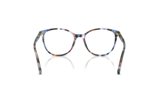 Vue arrière Dolce & Gabbana DG3425 (3443)