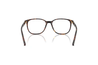 Vue arrière Dolce & Gabbana DG3426 (502)