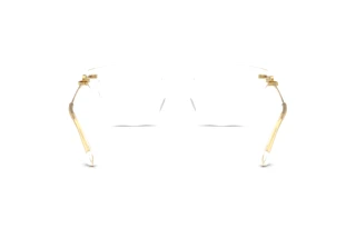 Vue arrière Dolce & Gabbana DG3428 (3133)