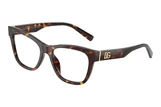 Dolce & Gabbana DG3430 502 Havana