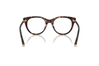 Vue arrière Dolce & Gabbana DG3433 (502)