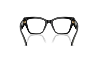 Vue arrière Dolce & Gabbana DG3435B (501)