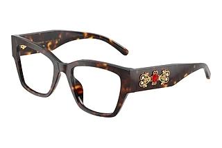 Dolce & Gabbana DG3435B 502 Havana