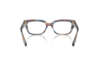 Vue arrière Dolce & Gabbana DG3436 (3448)