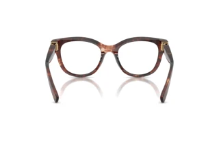 Vue arrière Dolce & Gabbana DG3437 (3222)