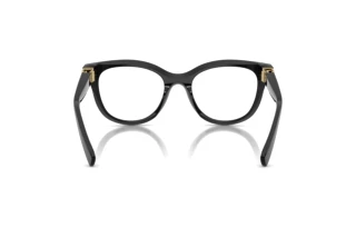 Vue arrière Dolce & Gabbana DG3437 (501)